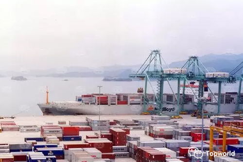 網(wǎng)上貿(mào)易代理商品檢驗費(fèi)用影響因素分析